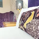 Vendégház Invergarry Only For Adults