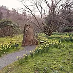 Invergarry Only For Adults