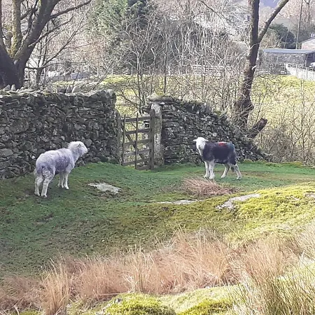 Invergarry Only For Adults Guest house Windermere